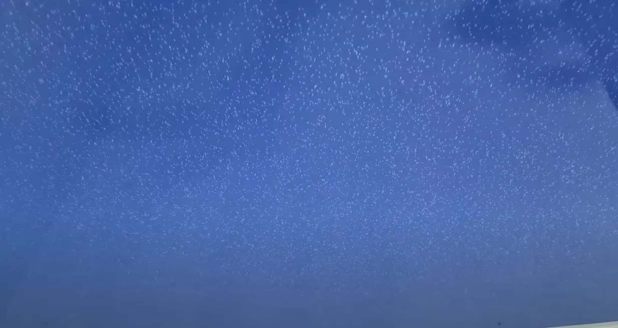 Калининград, Советский проспект, 8, фото 3