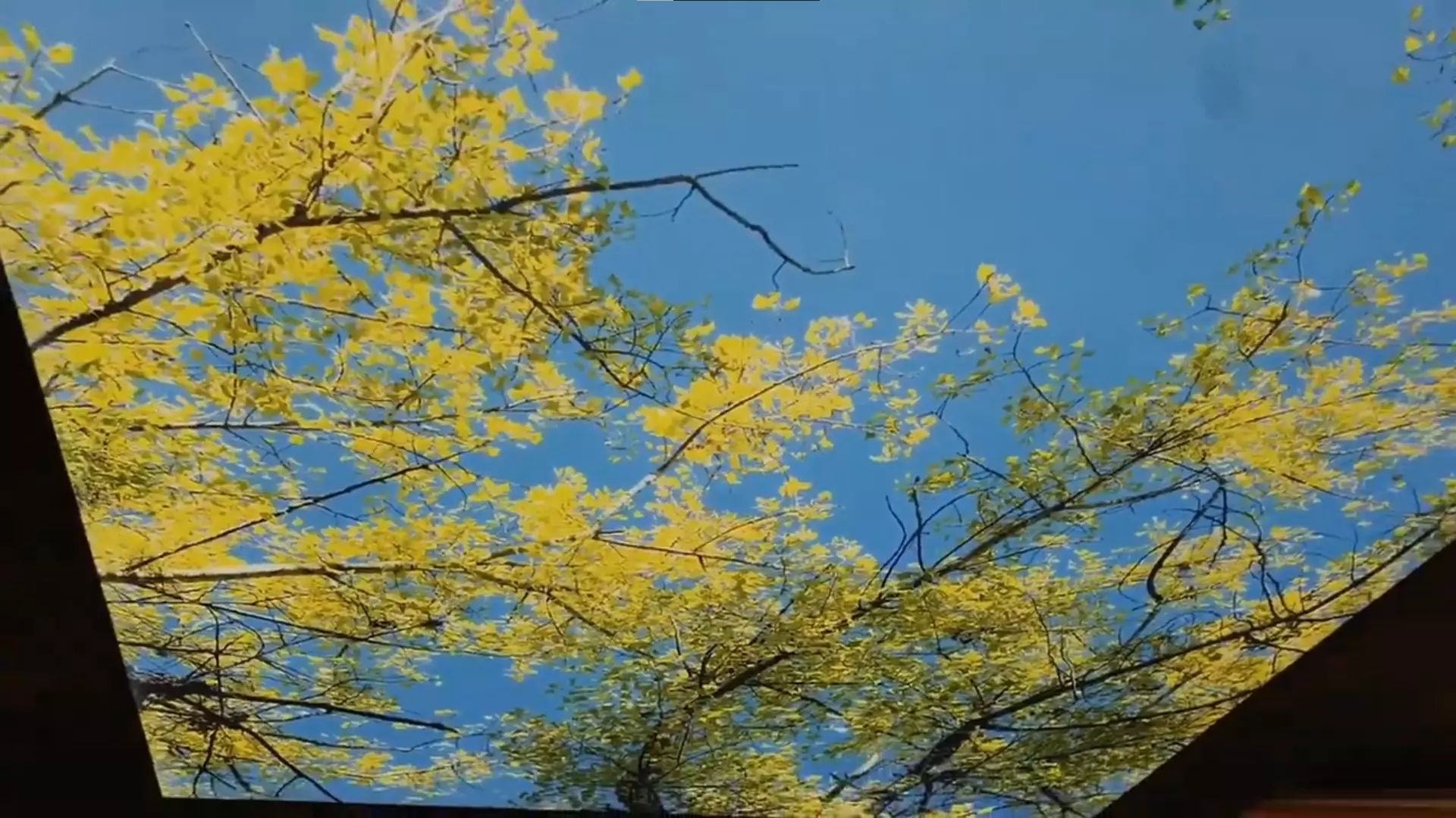 Прокопьевск, , фото 2