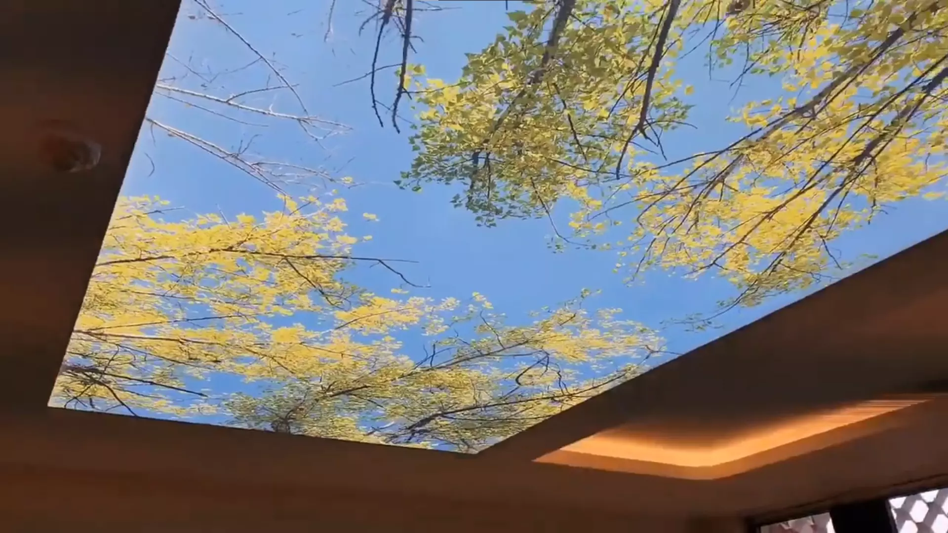 Прокопьевск, , фото 3